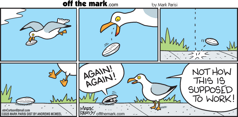 Clam up