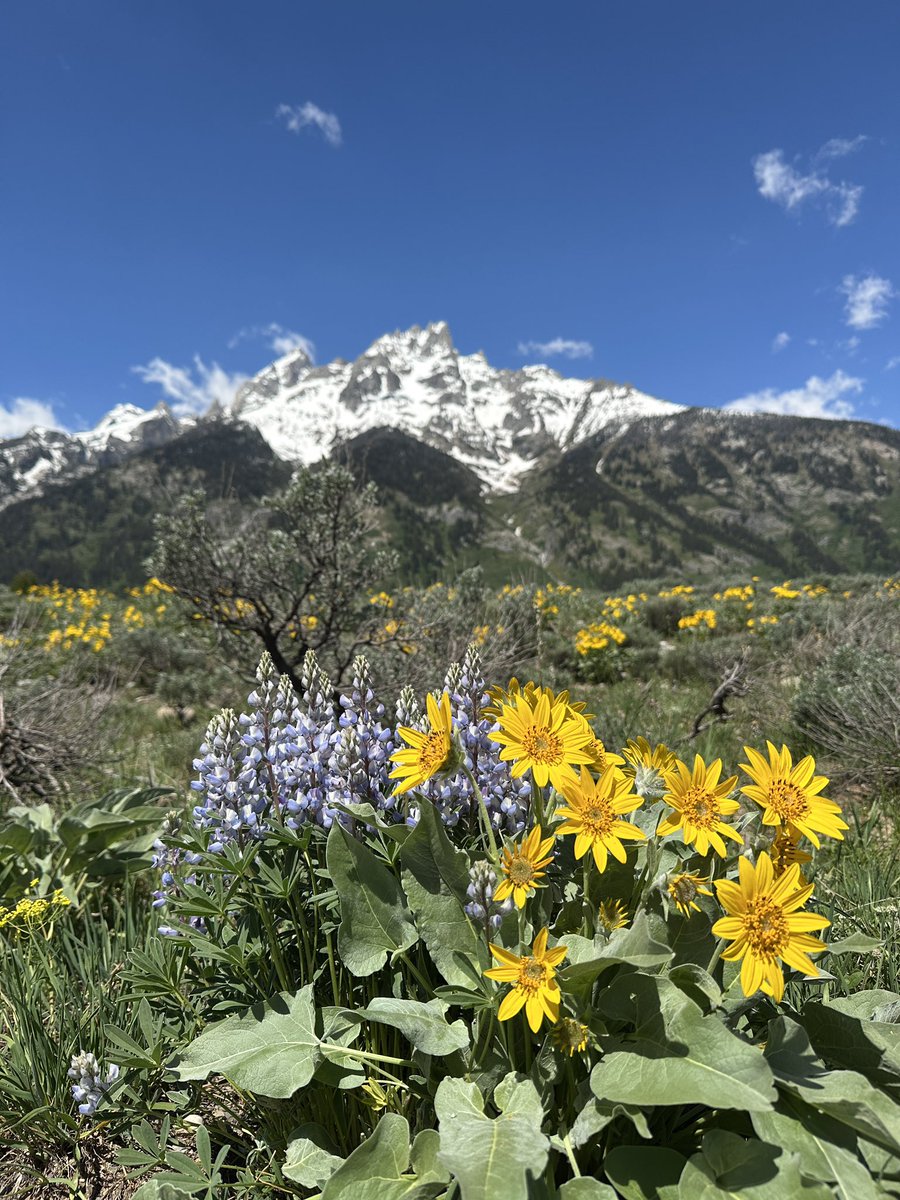 Janelle Conlin tweet media