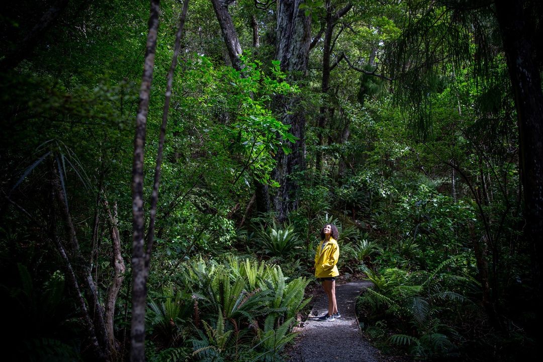 Ulva Island, near Rakiura Stewart Island, has been a pest-free wildlife sanctuary since 1997. It provides a safe haven for birds like kiwi, saddleback, and yellowhead to thrive without threats from rabbits or dogs. ❤️🐦

📸 RealNZ
📍 Ulva Island, Stewart Island

#SouthlandNZ