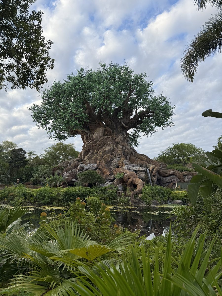 Nick Chappell tweet media