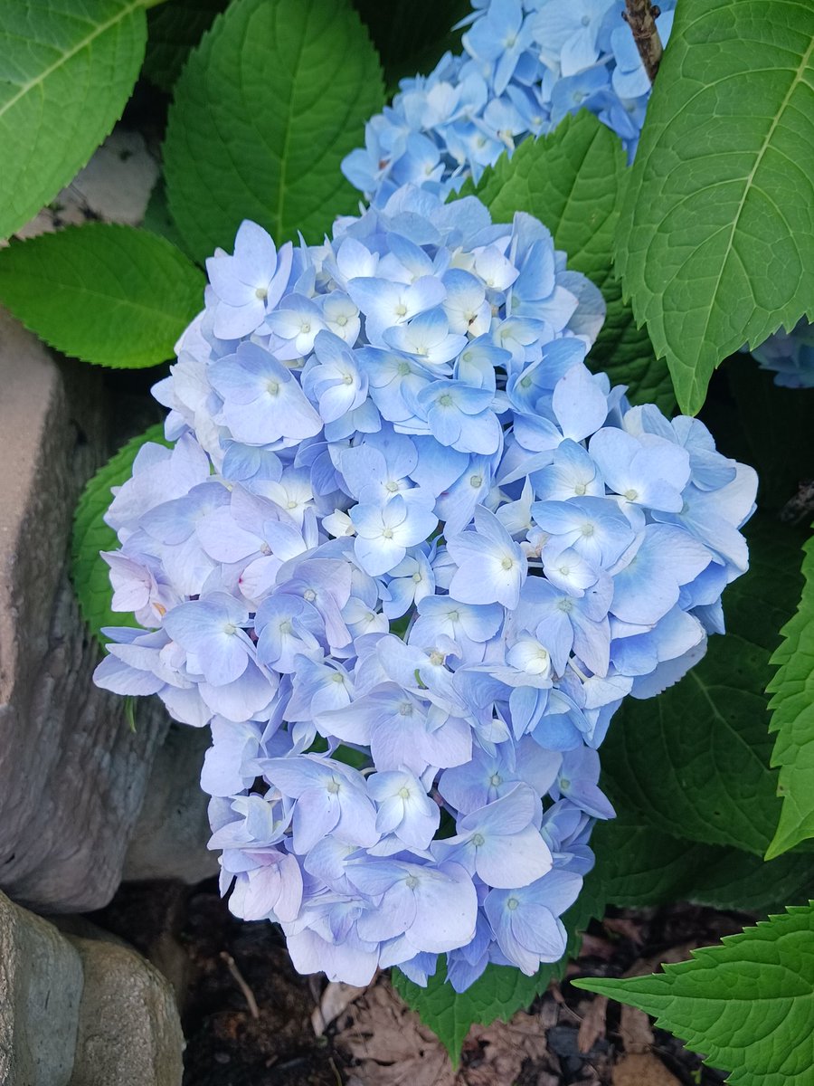 I love this time of year! #SummerVibes