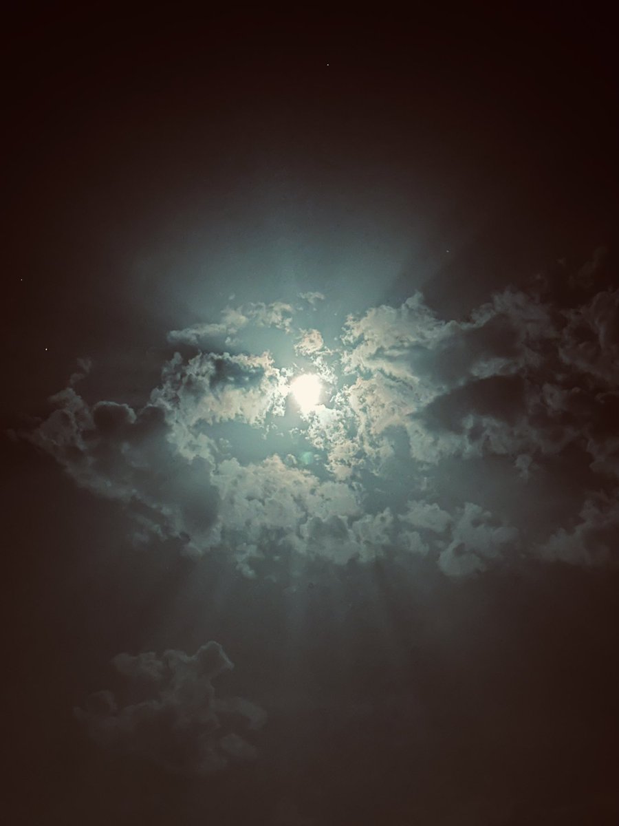 Moon is rising, wings are dark, world is ending, my soul is far… ⚰️