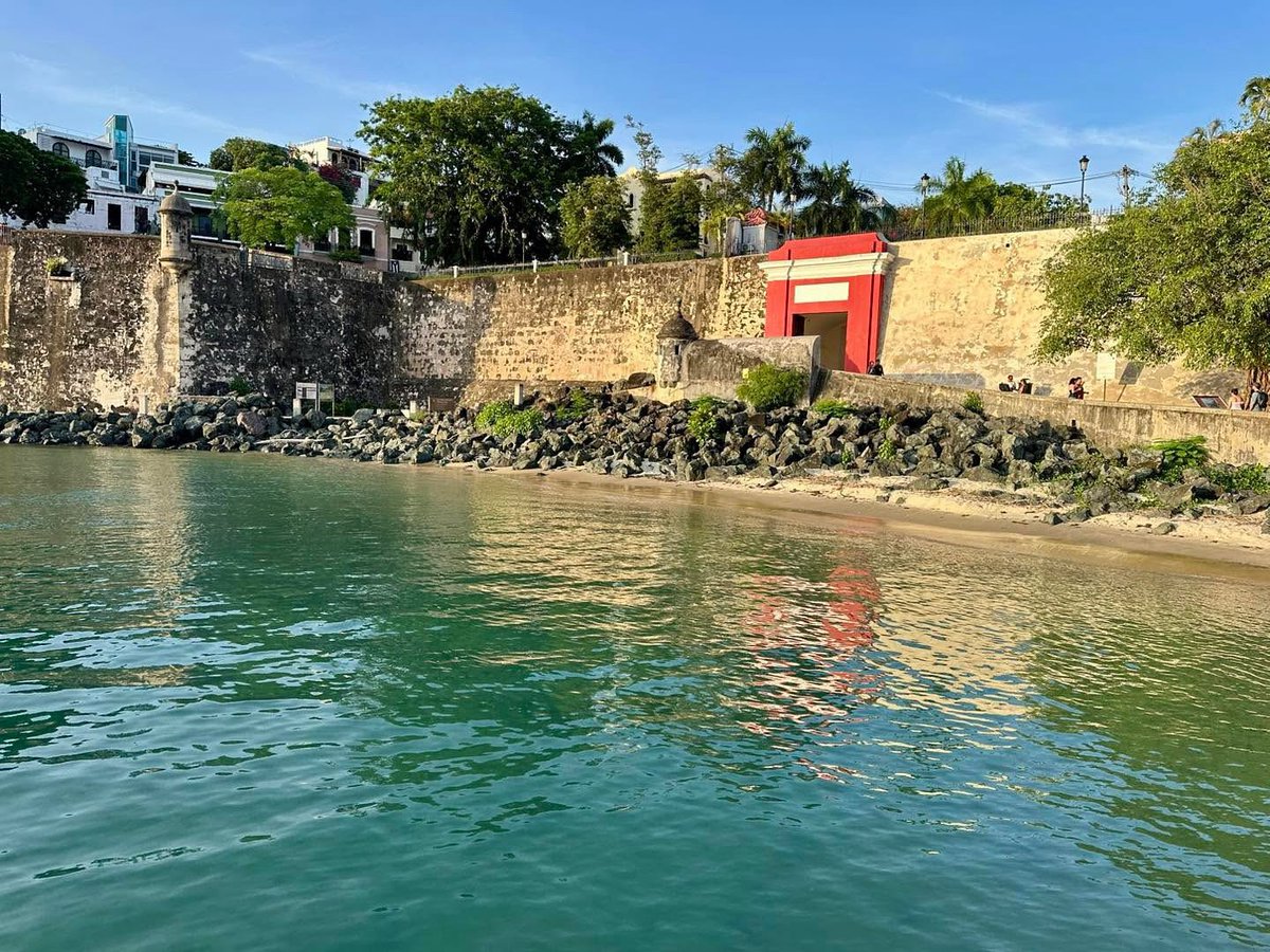 La luz de la última hora del día…