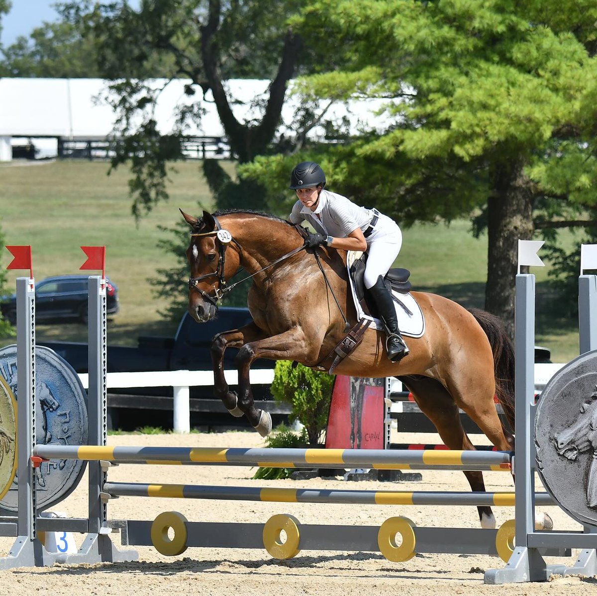 A dear old friend of The Real Rider Cup is returning to ride again in Lexington on June 28. We can't wait to see Maryland native JOCELYN BROOKS and her partner Maryland Pride!

therealridercup.com/competitor/jly…

#JumpOn! 🏇🏆