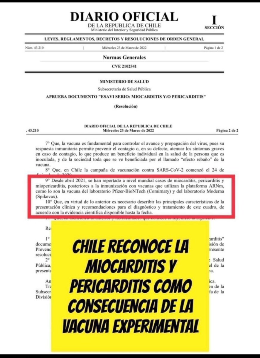 jubilada tweet media