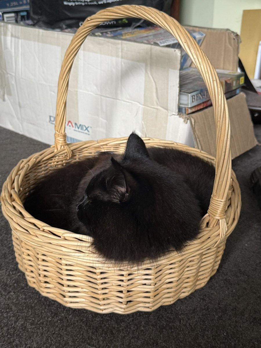 Kitty is good now. Safe, warm and Cozy <3 which means we’re ready to go live! 

We’re going to be playing Genshin Impact, exploring and seeing how far we get with the story!