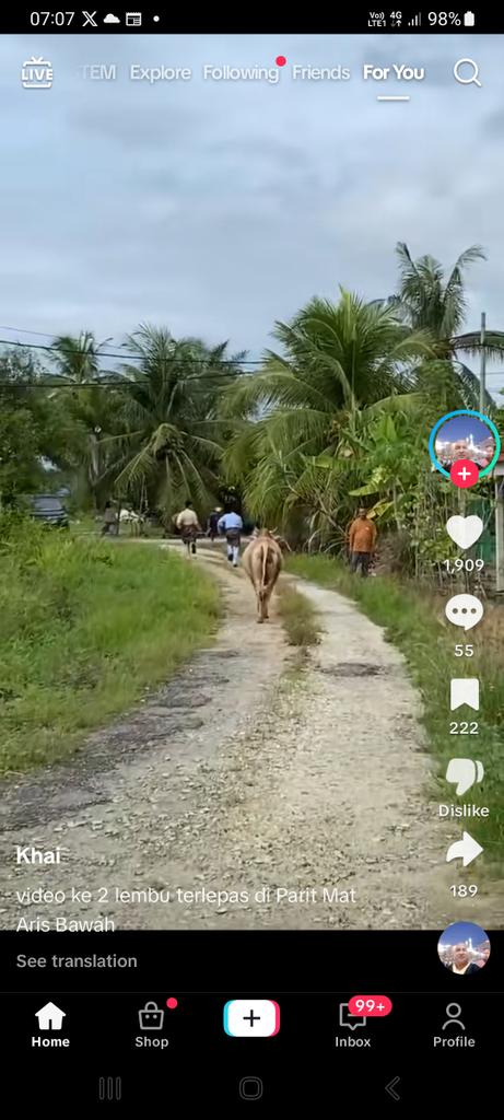 BUTOHHHH! BERSEPAH KES LEMBU KEJAR SI SEMPUDAL TERSIALLL! RAYA QURBAN TAHUN NI ! PROVED MERENYUTTT POKIMAK YG BERANGAN CARIK PAHALA ! EEEE JIJIKKKKK 👎👎👎👎👎