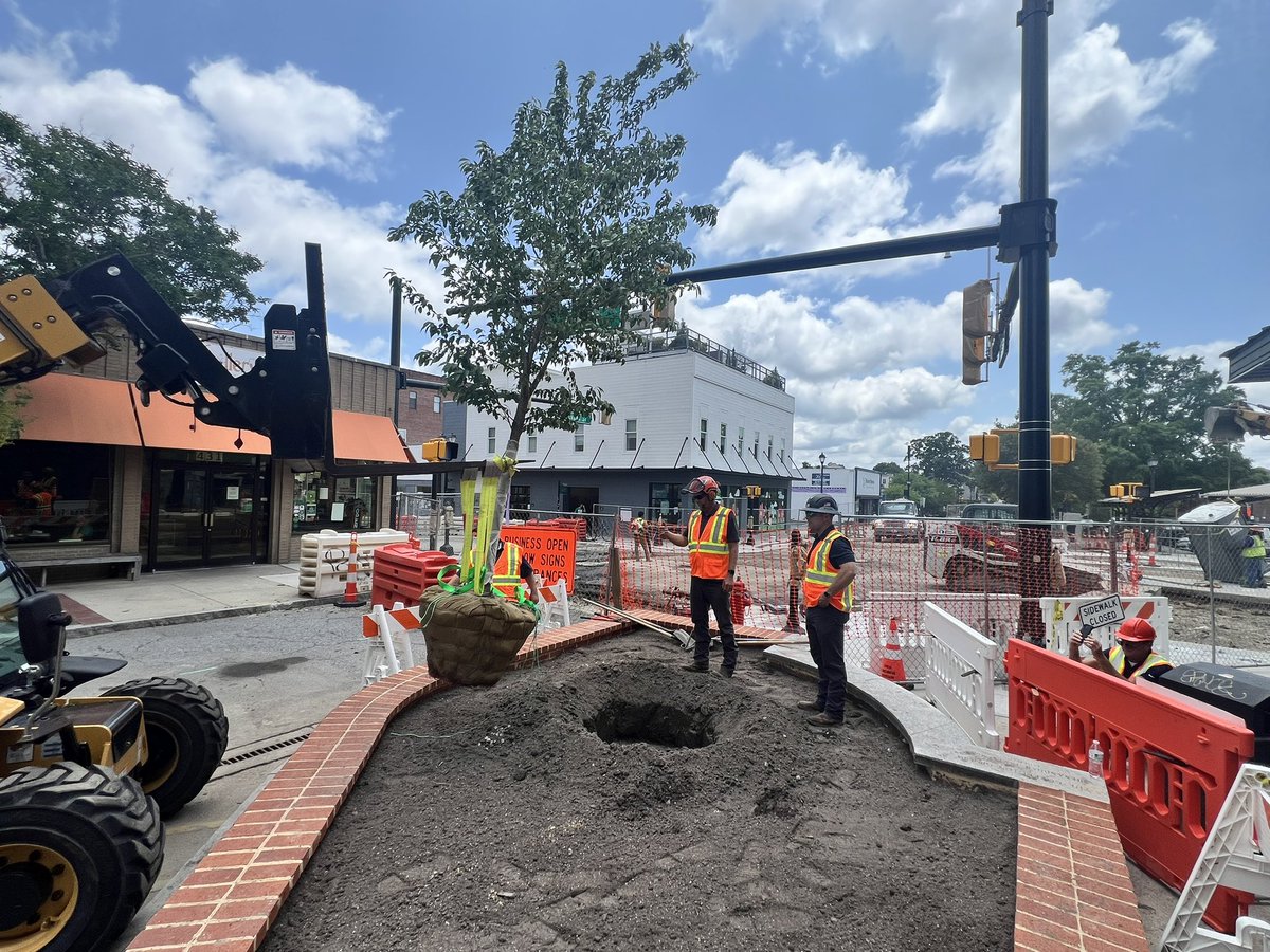 City Arborist and our grounds crew planted a yoshino cherry tree at the corner of 5th and Evans.  A beautiful addition to our downtown!  
#TreecityUSA