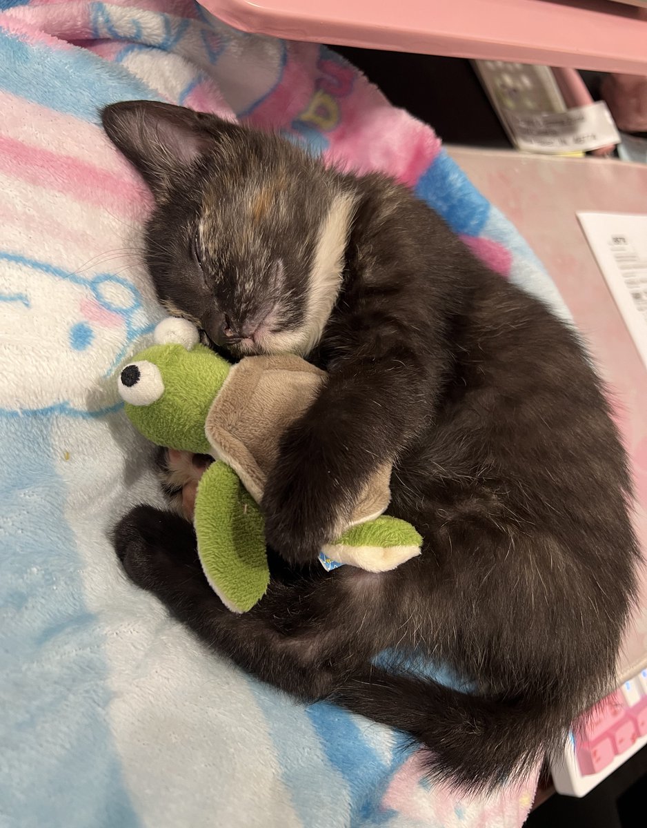 Everybody meet Booger :3