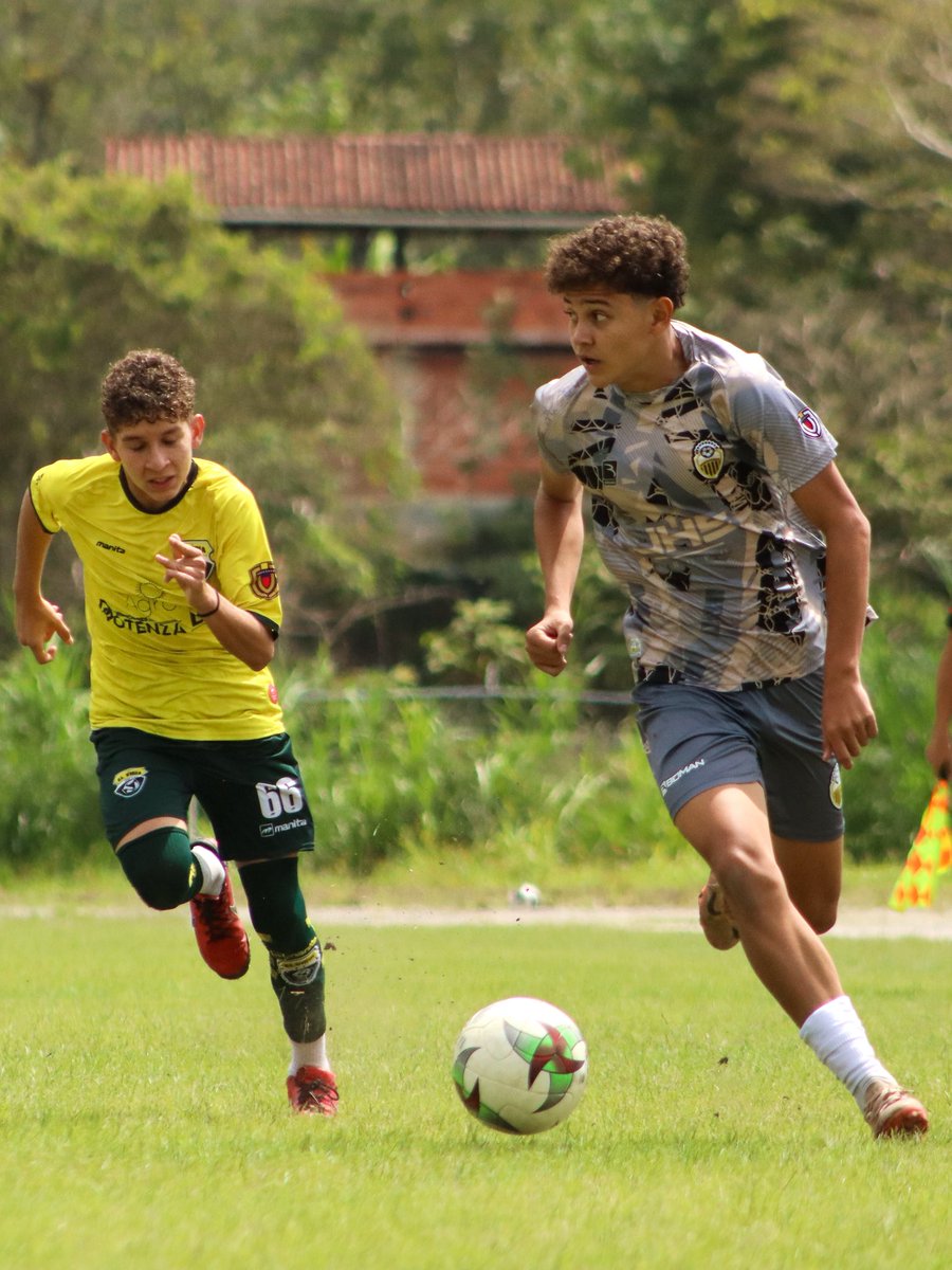 #CanteraDTFC | #S16 | #J10 | 📸 Celebración 🆚 F.A. El Vigía F.C. 👊🏼 #LigaFUTVEJunior 2025 🏆

🫡 Patrocinado por: #panvenezuela #bancosofitasa #alimentosmunchy 

#VamosTáchira 💛🖤
#ElFuturoDelFUTVE🇻🇪