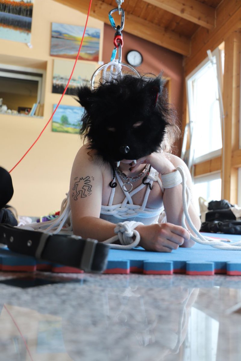 wendigoatAD's tweet image. woof! the doggo went flying ~

#furry #therian #nsfwtwt #bondage #ftm