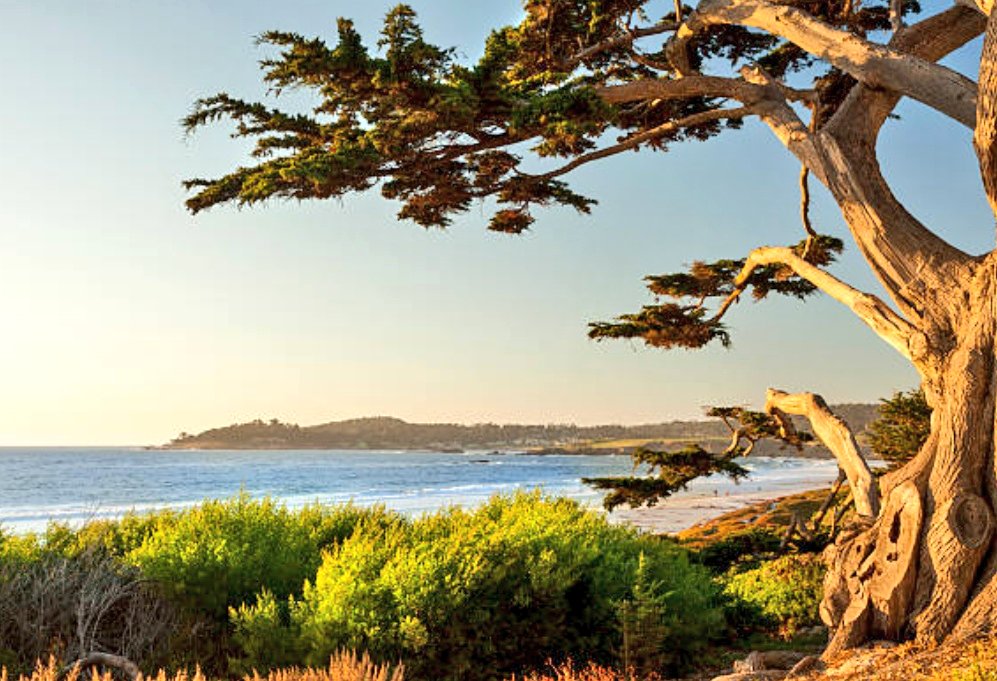 meinnyc130's tweet photo. GORGEOUS Location! ...😉😎
It's "supposed" to be Maine, but in Actuality, it was shot in Carmel, California...
#ASummerPlace
#TCMParty https://t.co/1lRU4hut6J