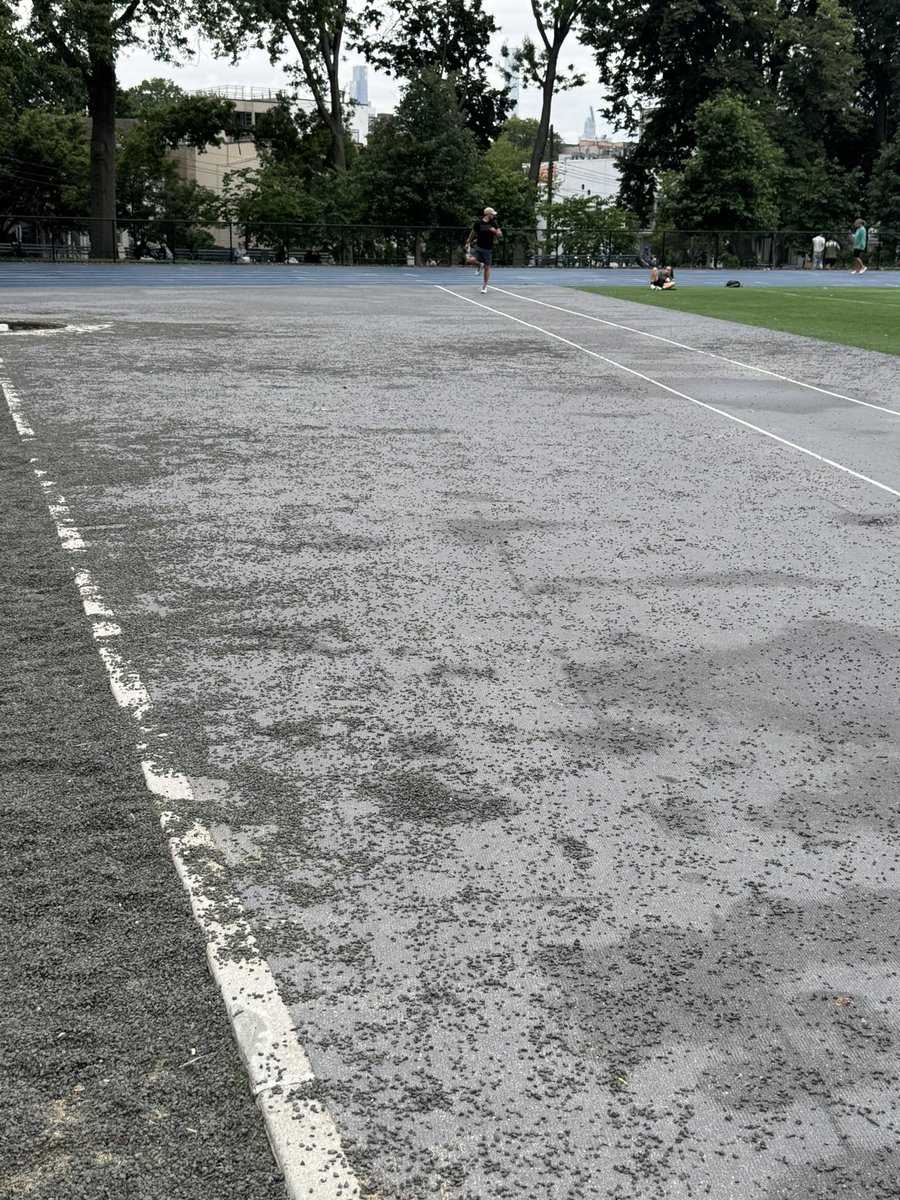 icloudfiles's tweet photo. @NYCParks can something be done about this gravel situation in Astoria park.  I have never seen anyone use it for shot put. The gravel gets out of the pit and all over the place. This is prime real estate for people warming up or doing full blown workout. Many thanks. https://t.co/PT5topxAUw