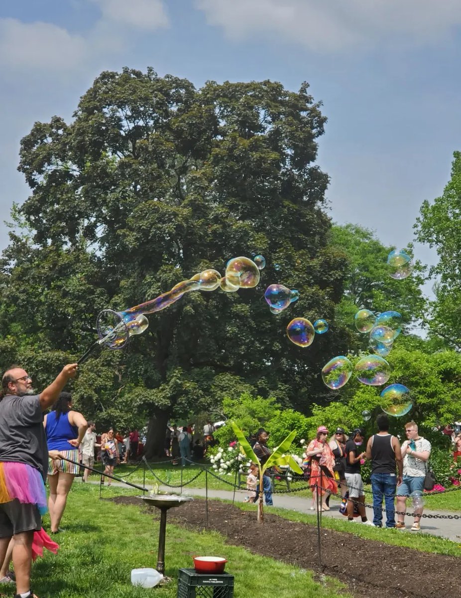 Capital Region Pride ❤️🧡💛💚💙💜🤎🖤🤍

Thousands lined the streets and filled Washington Park for the 2025 Capital Pride Parade and Festival. It was a joyful celebration of identity, community, and acceptance. Today, Albany was beaming with Pride 🏳️‍🌈

#albanyny #aroundalbany