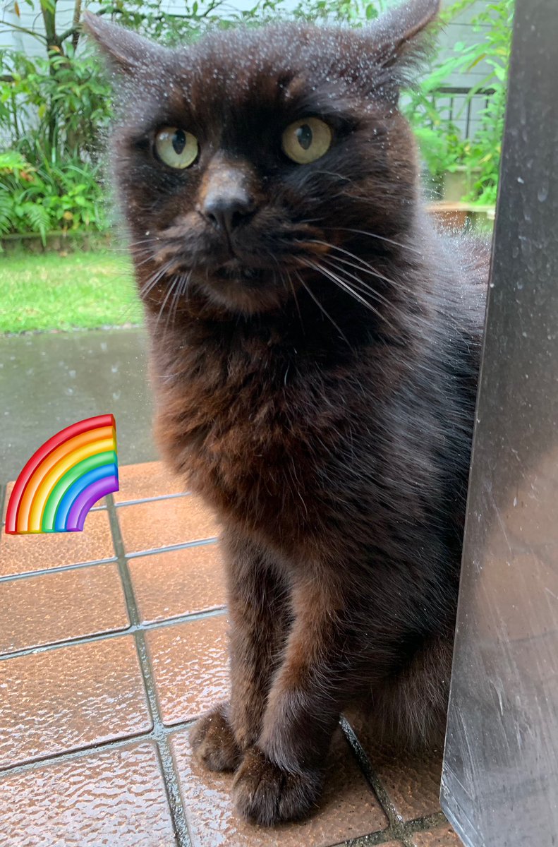 ひさりん❀.今までありがとう🙏🏻このアカウントは終了しました💐 tweet media