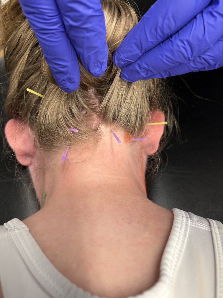 William Penn Sports Medicine tweet media