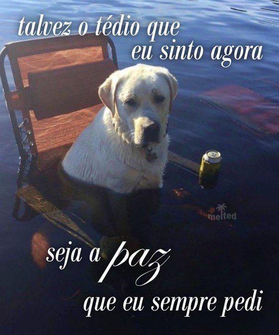 oigatuna's tweet photo. será? https://t.co/9Mxx05t4Cu