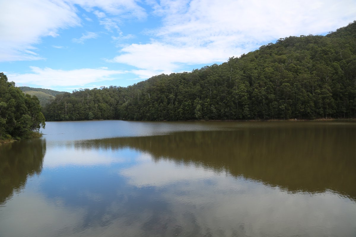 Little Nerang Dam is no longer spilling excess water. Details bit.ly/1dPqmtc