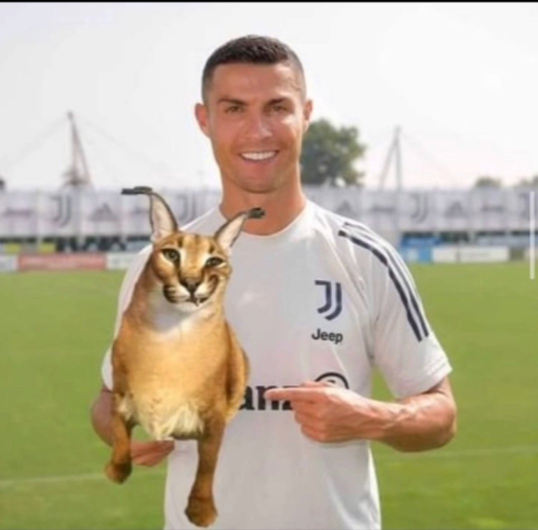 Entre ganadores nos entendemos, hoy le dimos la bendición a Cristiano

Que se preparen esos lobos hoy, van a sentir la pija felina