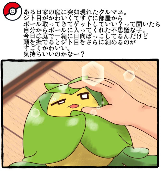 ポケモンとの日常 クルマユ
 #ポケモンと生活 #ポケモンと社会 #pokemon 