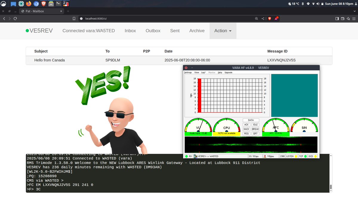 jason VE5REV tweet media
