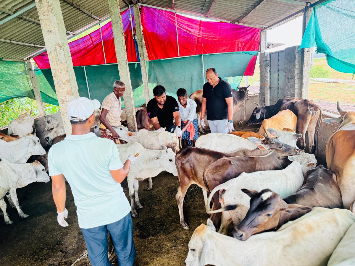 Health Camp at Girigobardhan Gosala Asurali where health checkup was done for 130 cattle by #Dr_Nirakara_Jena &amp; it is organised by #Vet_Health_Plus 
<a href="/OVSA_ODISHA/">ODISHA VETERINARY SERVICE ASSOSCIATION</a> <a href="/ovsacuttack/">Odisha Veterinary Service Association CUTTACK</a> <a href="/OVSABhadrak/">Odisha Veterinary Service Association Bhadrak</a> <a href="/dahvsodisha/">Directorate of AH&VS Odisha</a> <a href="/farddepartment/">Fisheries & ARD Department</a> <a href="/CMO_Odisha/">CMO Odisha</a> <a href="/suryabanshibjp/">Suryabanshi Suraj</a> <a href="/GokulanandaBJP/">GOKULANANDA MALLICK</a>