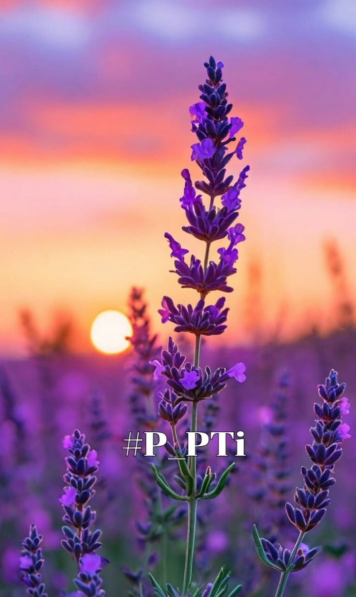 ༺ 𒆜𝑵𝑬𝑬𝑵𝑨𝑯𒆜 ༻ (@nm1k_) on Twitter photo #P_PTi
🤍<a href="/NM1k_/">༺ 𒆜𝑵𝑬𝑬𝑵𝑨𝑯𒆜 ༻</a>
🪻<a href="/V13lula/">Karen Lúcia♀️🚩🌵</a>
🤍<a href="/MNPTi1/">𝟏.𝟐𝐌👑⃟≛⃝𝔐𝔲𝔫𝔰𝔦𝔣🕊️⃟⋆ ابوسلم ≛⃝🔶</a>
🪻<a href="/As_t40/">𝐀 𝐒𝐚𝐭𝐭𝐚𝐫</a>
🤍<a href="/Y22NY/">YASEEN</a>
<a href="/P_PTi3/">𝐌_𝐏𝐭𝐢 _🆇 𝐏𝐑𝐎𝐌𝐎𝐓𝐄𝐑</a>
<a href="/IAIJ1_/">Javed Iqbal</a>
<a href="/cxq24/">آلــشــآعــــر عــــــزوز</a>
<a href="/av_804/">DigitaL AaTanG VaDi 804</a>
<a href="/TipuS1_/">Tipu Sultan ᴾᵃᵏᴾᵒʷᵉʳ</a>
<a href="/1_zzhzz/">HAMDI</a>
<a href="/Sprxzy2/">Umar PTI</a>
<a href="/__Alan2/">ALAN 👑</a>
<a href="/pti__dimo/">black diamond 💎</a>
<a href="/RaisaniUZ/">Usama Zulfiqar</a>
<a href="/zubm9231/">ZUBAIR Muhammad</a>
<a href="/GauchoSdv/">🧉GAÚCHO𝓕𝓸𝓵𝓵𝓸𝔀💯🔙💪🤠</a>
<a href="/Iamkhanks/">خان کا سپاہی</a>
<a href="/MonicaHDx/">𝕳𝖊𝖗𝖒𝖔𝖓𝖎𝖈𝖆 #𝑪𝒖𝒍𝒕𝑯𝑫</a>
<a href="/CarloSportfan/">SportISmyLIFE ⚽⚾🏀🏐🏈🎾🎳🏏🏓⛳</a>
<a href="/swdmd42233/">ابن عمان</a>
<a href="/mustafa37303/">MsTf@</a>
<a href="/yasirkhan7845/">Yasir Khan</a>
<a href="/AshrafParw26055/">Ashraf Parwez</a>
<a href="/KamranA17555180/">ISF Sindh Official 🇧🇫</a> #P_PTi
🤍<a href="/NM1k_/">༺ 𒆜𝑵𝑬𝑬𝑵𝑨𝑯𒆜 ༻</a>
🪻<a href="/V13lula/">Karen Lúcia♀️🚩🌵</a>
🤍<a href="/MNPTi1/">𝟏.𝟐𝐌👑⃟≛⃝𝔐𝔲𝔫𝔰𝔦𝔣🕊️⃟⋆ ابوسلم ≛⃝🔶</a>
🪻<a href="/As_t40/">𝐀 𝐒𝐚𝐭𝐭𝐚𝐫</a>
🤍<a href="/Y22NY/">YASEEN</a>
<a href="/P_PTi3/">𝐌_𝐏𝐭𝐢 _🆇 𝐏𝐑𝐎𝐌𝐎𝐓𝐄𝐑</a>
<a href="/IAIJ1_/">Javed Iqbal</a>
<a href="/cxq24/">آلــشــآعــــر عــــــزوز</a>
<a href="/av_804/">DigitaL AaTanG VaDi 804</a>
<a href="/TipuS1_/">Tipu Sultan ᴾᵃᵏᴾᵒʷᵉʳ</a>
<a href="/1_zzhzz/">HAMDI</a>
<a href="/Sprxzy2/">Umar PTI</a>
<a href="/__Alan2/">ALAN 👑</a>
<a href="/pti__dimo/">black diamond 💎</a>
<a href="/RaisaniUZ/">Usama Zulfiqar</a>
<a href="/zubm9231/">ZUBAIR Muhammad</a>
<a href="/GauchoSdv/">🧉GAÚCHO𝓕𝓸𝓵𝓵𝓸𝔀💯🔙💪🤠</a>
<a href="/Iamkhanks/">خان کا سپاہی</a>
<a href="/MonicaHDx/">𝕳𝖊𝖗𝖒𝖔𝖓𝖎𝖈𝖆 #𝑪𝒖𝒍𝒕𝑯𝑫</a>
<a href="/CarloSportfan/">SportISmyLIFE ⚽⚾🏀🏐🏈🎾🎳🏏🏓⛳</a>
<a href="/swdmd42233/">ابن عمان</a>
<a href="/mustafa37303/">MsTf@</a>
<a href="/yasirkhan7845/">Yasir Khan</a>
<a href="/AshrafParw26055/">Ashraf Parwez</a>
<a href="/KamranA17555180/">ISF Sindh Official 🇧🇫</a>