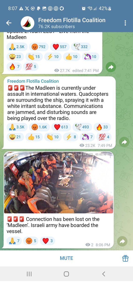 Patti Mohr tweet media