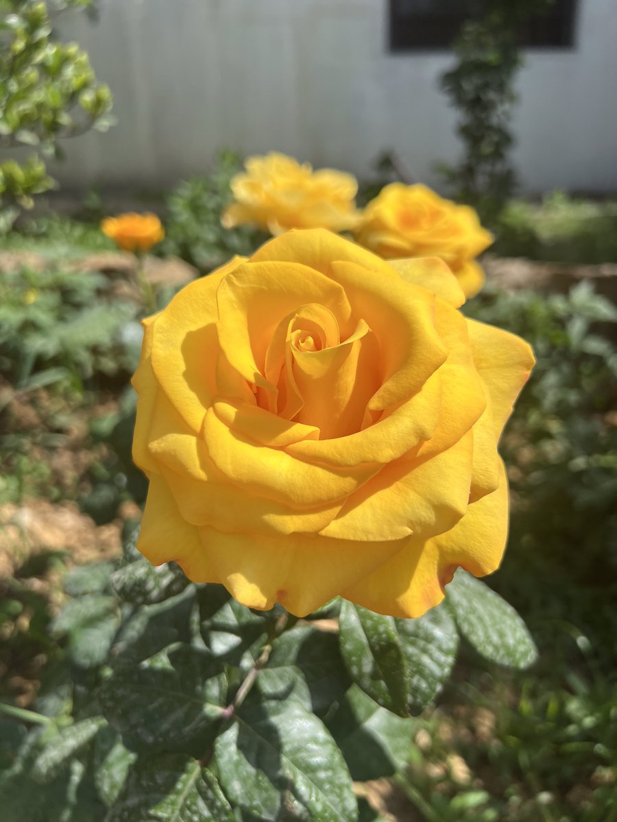 Javedchaudhary (@javedch77) on Twitter photo <a href="/sheriran95/">sheer_iran</a> <a href="/roseflourish_13/">Rose 🌹: Maryam.</a> <a href="/MarinaIxtapa/">Marina Kelly</a> <a href="/HumbleIndian/">Vivek Hindustani</a> <a href="/ClockworkHamma/">Clockwork Hamma</a> <a href="/RitaSofiale/">Rita</a> <a href="/Edward733/">ஜ۩ღEdward Simღ۩ஜ 심상갑</a> <a href="/ArlindoFerreir4/">Arlindo Ferreira</a> <a href="/mi_venecia/">I ❤️MI PEQ. VENECIA!</a> <a href="/Manzoor01162219/">Manzoor Hussain....@PakPowerFamily</a> <a href="/analons/">Annemiek Alons</a> <a href="/scouse_kim/">scouse kim</a> <a href="/heroldbarton/">herold barton</a> <a href="/Dipanka82446090/">Dipankar Roy</a> <a href="/HossainAnamika/">Anamika hossain</a> <a href="/vickiemoore07/">Vickie 🌸🙋🏻♀️😊</a> <a href="/leilasbsantos/">🇧🇷LEILA BOTELHO 🇧🇷🇮🇱</a> <a href="/RosaTrunk/">Rosa</a> <a href="/VelvetSkye/">Velvet Skye™© 🇨🇦 ❤️💪</a> <a href="/PatGrant7777/">✨Star Bright ✨</a> <a href="/Elly15094328/">missy</a> <a href="/PONCHOAGOPLA/">Poncho Gómez-Plaza</a> <a href="/BSuhic/">Jasminka</a> <a href="/roads2/">Susan Nelson</a> <a href="/redsand2/">Simon Kim</a> <a href="/ManiarMuhammad/">Aafiny MZM</a> <a href="/rpskataria/">Ramphal Kataria رامپھل کٹاریا</a> <a href="/663Renegade/">Anna</a> <a href="/yaidunohannji/">Naoki Nishino</a> <a href="/Titas37/">Benito -</a> <a href="/mirtaimperatori/">Mirta Imperatori</a> <a href="/Aguilablanca800/">aguila Blanca 😎👍🏍️✌️✌️</a> <a href="/digitalgypsie/">Mark Duncan🇺🇸</a> <a href="/jrmtm50/">jose</a> <a href="/JohnPierceIX/">JohnPierceIX</a> <a href="/maryrhoton/">Motormouth 2</a> <a href="/Jill_Gregory/">Jill Gregory</a> <a href="/Jefinafita17/">jeferson silva</a> <a href="/DodyM38/">Dr: Dody</a> <a href="/antoniaparra8/">antonia parra</a> <a href="/Drmdqamruddins1/">Drmdqamruddinsadri</a> <a href="/misvonvon22/">Miss von</a> <a href="/labonitacorre/">Aura</a> <a href="/Linyuling99999/">Lin yu ling</a> <a href="/moonjames42/">Moon James 42</a> <a href="/Jilliemary/">Jillian Peeling</a> <a href="/BruynChantal/">De Bruyn Chantal</a> <a href="/PattiBrookd/">Patti Brookd</a> <a href="/PolishRoyalGoat/">Ana and her Goat</a> <a href="/MistressTepco/">꧁スカーレット緋色꧂36K🦩</a> Good morning
Happy monday <a href="/sheriran95/">sheer_iran</a> <a href="/roseflourish_13/">Rose 🌹: Maryam.</a> <a href="/MarinaIxtapa/">Marina Kelly</a> <a href="/HumbleIndian/">Vivek Hindustani</a> <a href="/ClockworkHamma/">Clockwork Hamma</a> <a href="/RitaSofiale/">Rita</a> <a href="/Edward733/">ஜ۩ღEdward Simღ۩ஜ 심상갑</a> <a href="/ArlindoFerreir4/">Arlindo Ferreira</a> <a href="/mi_venecia/">I ❤️MI PEQ. VENECIA!</a> <a href="/Manzoor01162219/">Manzoor Hussain....@PakPowerFamily</a> <a href="/analons/">Annemiek Alons</a> <a href="/scouse_kim/">scouse kim</a> <a href="/heroldbarton/">herold barton</a> <a href="/Dipanka82446090/">Dipankar Roy</a> <a href="/HossainAnamika/">Anamika hossain</a> <a href="/vickiemoore07/">Vickie 🌸🙋🏻♀️😊</a> <a href="/leilasbsantos/">🇧🇷LEILA BOTELHO 🇧🇷🇮🇱</a> <a href="/RosaTrunk/">Rosa</a> <a href="/VelvetSkye/">Velvet Skye™© 🇨🇦 ❤️💪</a> <a href="/PatGrant7777/">✨Star Bright ✨</a> <a href="/Elly15094328/">missy</a> <a href="/PONCHOAGOPLA/">Poncho Gómez-Plaza</a> <a href="/BSuhic/">Jasminka</a> <a href="/roads2/">Susan Nelson</a> <a href="/redsand2/">Simon Kim</a> <a href="/ManiarMuhammad/">Aafiny MZM</a> <a href="/rpskataria/">Ramphal Kataria رامپھل کٹاریا</a> <a href="/663Renegade/">Anna</a> <a href="/yaidunohannji/">Naoki Nishino</a> <a href="/Titas37/">Benito -</a> <a href="/mirtaimperatori/">Mirta Imperatori</a> <a href="/Aguilablanca800/">aguila Blanca 😎👍🏍️✌️✌️</a> <a href="/digitalgypsie/">Mark Duncan🇺🇸</a> <a href="/jrmtm50/">jose</a> <a href="/JohnPierceIX/">JohnPierceIX</a> <a href="/maryrhoton/">Motormouth 2</a> <a href="/Jill_Gregory/">Jill Gregory</a> <a href="/Jefinafita17/">jeferson silva</a> <a href="/DodyM38/">Dr: Dody</a> <a href="/antoniaparra8/">antonia parra</a> <a href="/Drmdqamruddins1/">Drmdqamruddinsadri</a> <a href="/misvonvon22/">Miss von</a> <a href="/labonitacorre/">Aura</a> <a href="/Linyuling99999/">Lin yu ling</a> <a href="/moonjames42/">Moon James 42</a> <a href="/Jilliemary/">Jillian Peeling</a> <a href="/BruynChantal/">De Bruyn Chantal</a> <a href="/PattiBrookd/">Patti Brookd</a> <a href="/PolishRoyalGoat/">Ana and her Goat</a> <a href="/MistressTepco/">꧁スカーレット緋色꧂36K🦩</a> Good morning
Happy monday