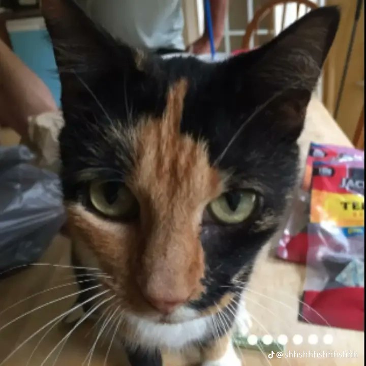 Cool C/Grim tweet media