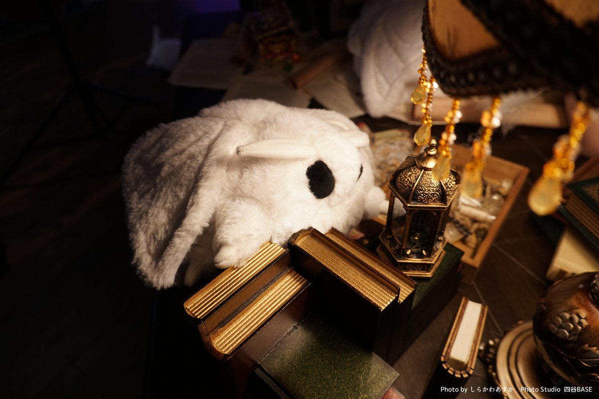 Big, fluffy moths that cling to magic books