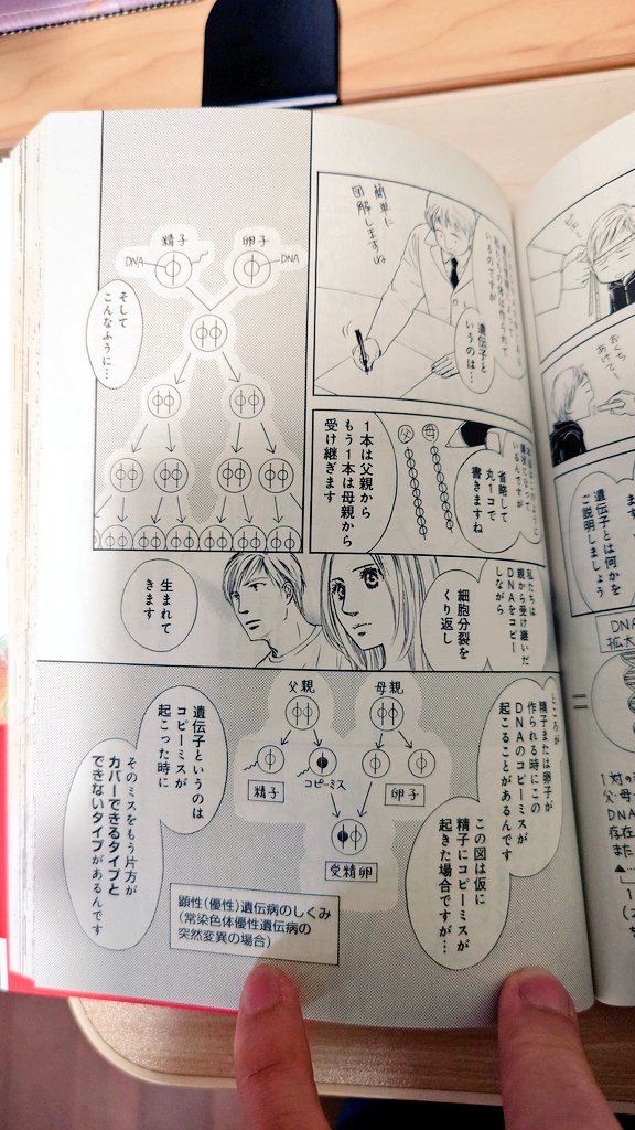 karin_jeen's tweet photo. ASDは自閉症ではない両親からも生まれる可能性はあります。
私は日本でもトップクラスの遺伝病専門医とその研究室の先生方にネームの監修を受けて大変な労力をかけて5巻のこの話を発表しました。
世の中の誤解を解きたい一心で。
また、2011年当時最先端であった遺伝子検査も実際に受け、5年間遺伝子を預け研究に協力しました。
医師と名乗るなら、このような自閉症の親は自閉症であるかのような誤解を生む安易な投稿は控えていただきたい。私の知的財産なのでこのページしか投稿しませんが数ページに渡って描いています。
遺伝のしくみについてもう少し詳しく知��たい方は拙著を読んでみてください。