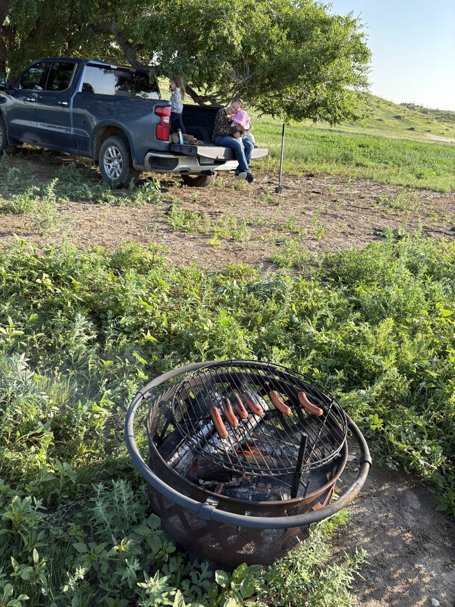 jsreinecker's tweet image. Sunday Funday