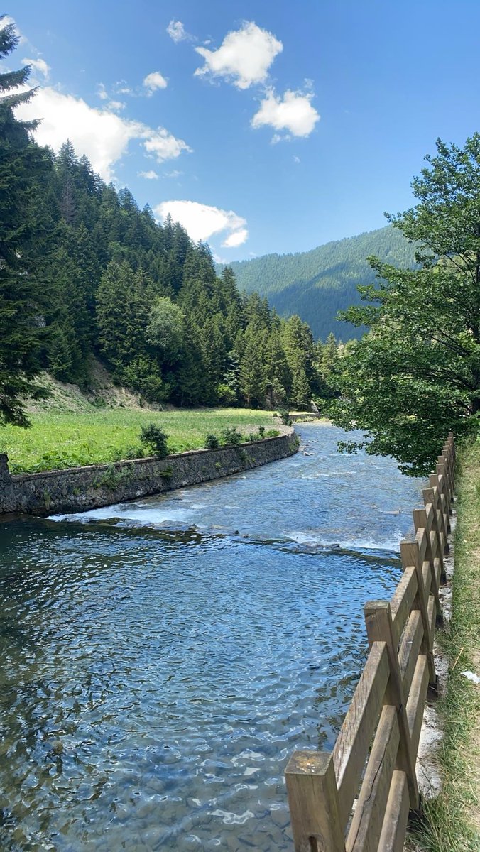 #كلمتين_وبس :

لا تشاركهم في الزحام ولا تنافسهم في الضجيج قف متفرجاً أو إبتعد عنهم ولا تبادرهم (ابتعاد وارتقاء)…