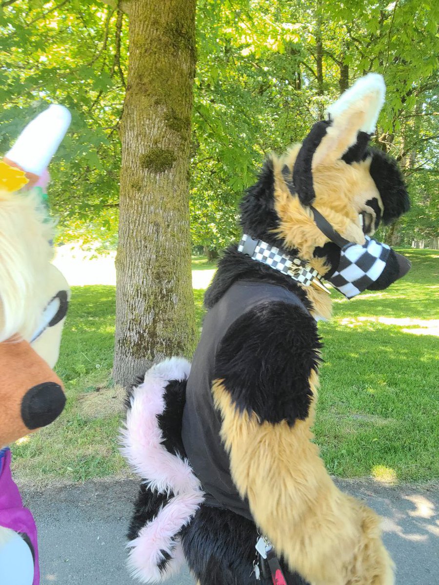 It was a hot and sunny day at the small local Monroe Pride but I survived! I'm only getting warmed up for the larger Seattle Pride events at the end of the month where heat will be hella intense 😵‍💫

#pride #pridemonth #pride2025