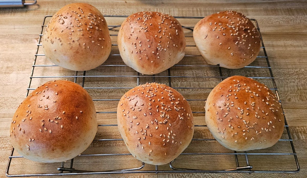 Didn't have buns for burgers, so I decided to make my own. My first time so I'm not sure how well these turned out. Guess I'll find out when slicing them.