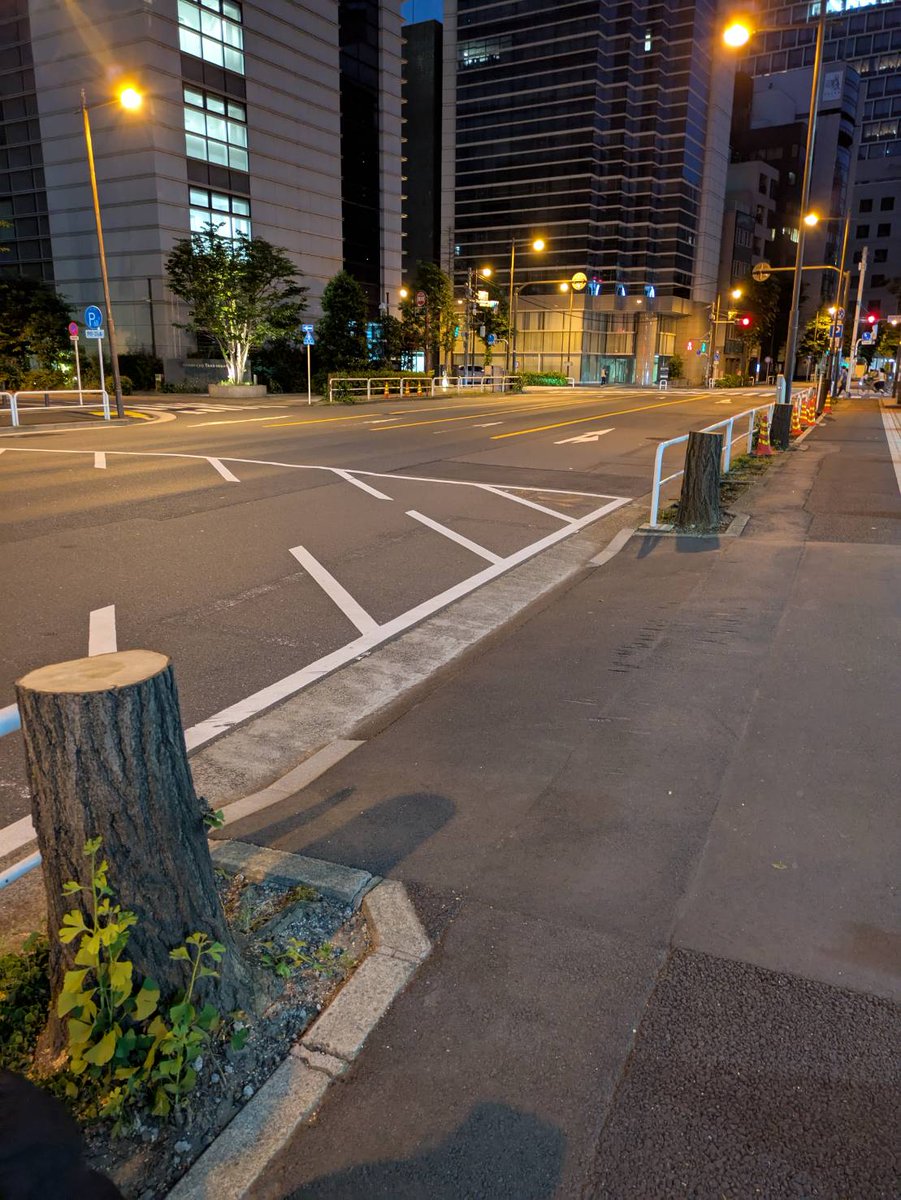 神田警察通り2期区間の街路樹

6月8日日曜日の朝、地元住民が守っていた最後の1本のイチョウが、千代田区によって伐採されてしまいました！

朝6時まで守っていた住民が帰った後、8時までの間でした

なんと工事看板の工事時間までテープで訂正してありました！
＃神田警察通り