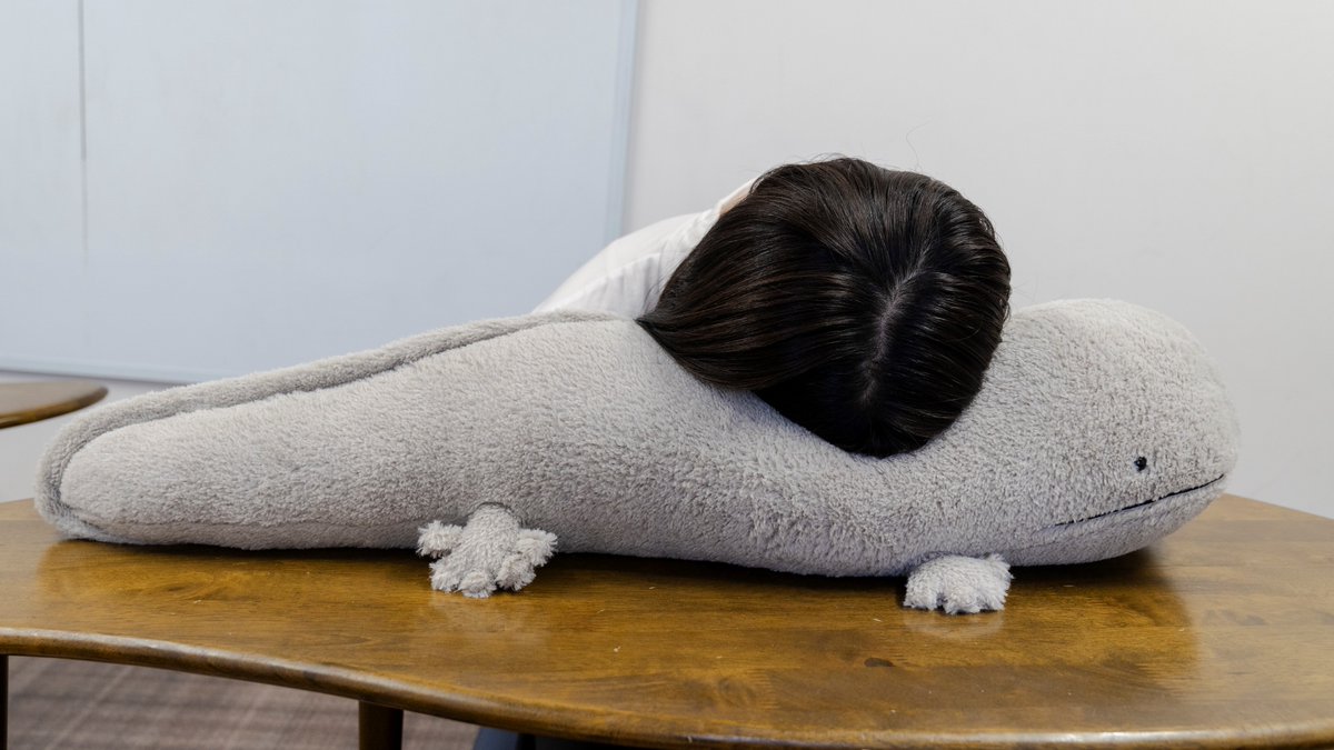 京都水族館 on X: 