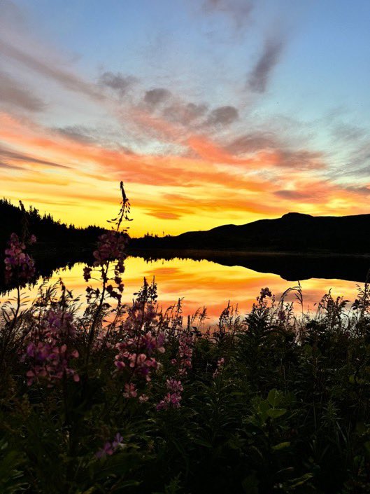 #sunrise #landscapephotography