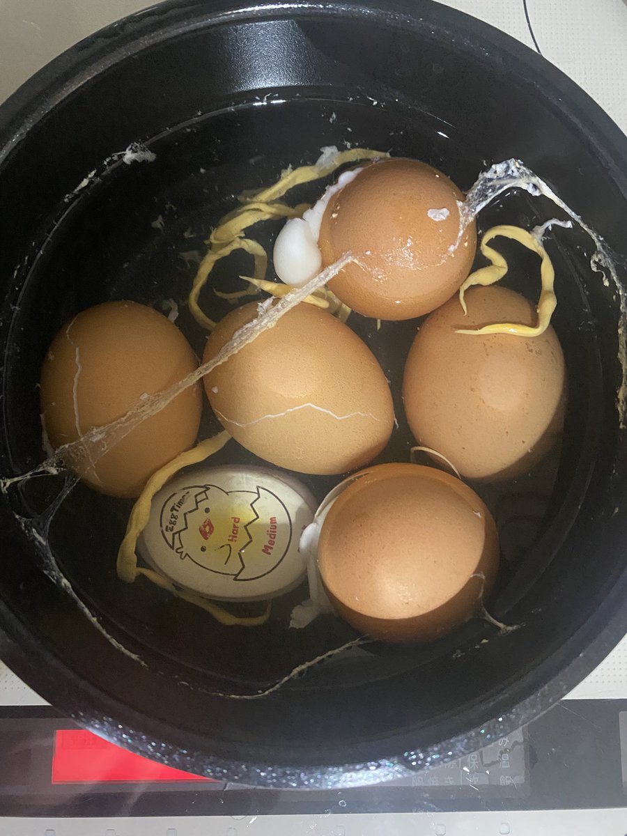 ゆで卵ダイエットしたかっただけなのに