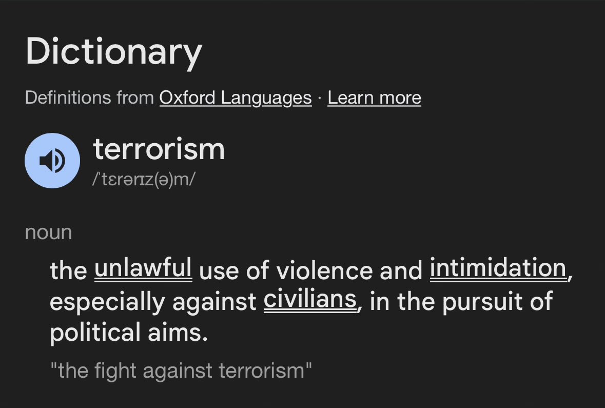 detaining volunteers, attacking and seizing a civilian ship attempting to deliver aid is the dictionary definition of terrorism