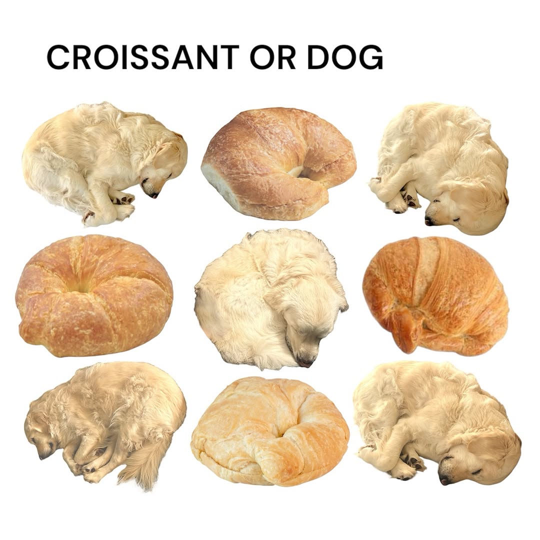 Weirdfoood tweet media