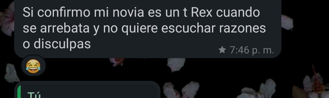 Erika_Fonseca98's tweet photo. Como me describe mi novio enojada? 😂😂😂😂😂😂😂 https://t.co/bVCZ7DQHPM