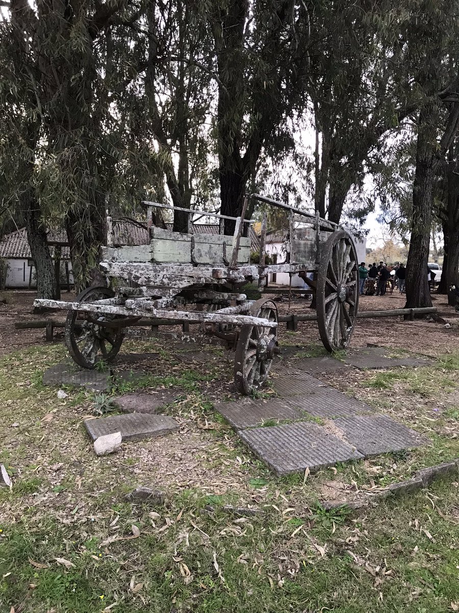 Una nueva cancha visitada! Club Cardos Durazno. Cardos Durazno vs CTM Copa Uruguay #Rugby #rugbyreferee