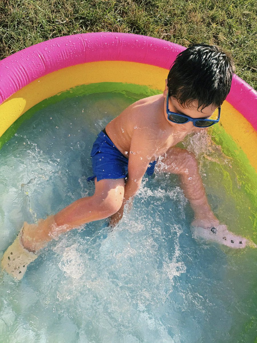 Water bug 😎