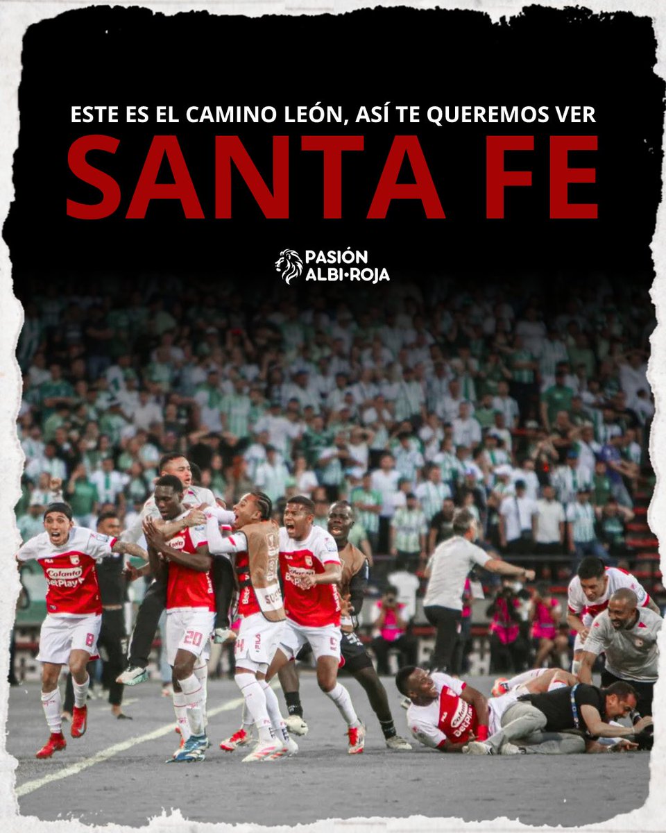 Pasión Albi Roja |🇮🇩 tweet media