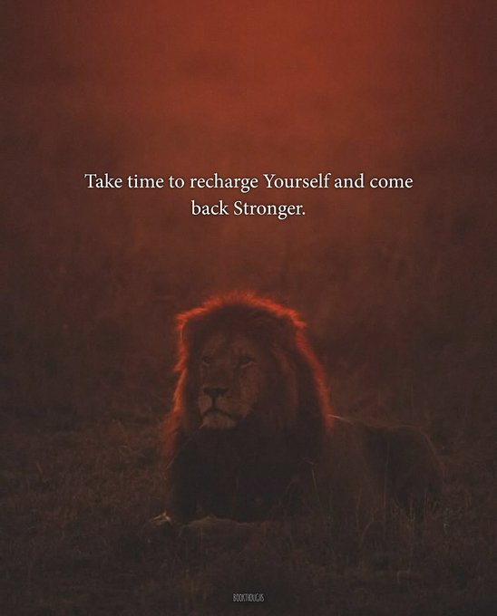 Mindful Maven (@mindfulmaven_) on Twitter photo 