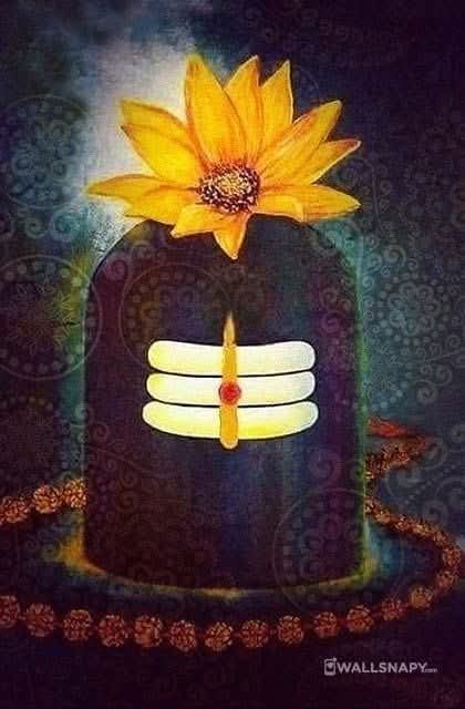 Har Har Mahadev 
Namo Namah 🙏