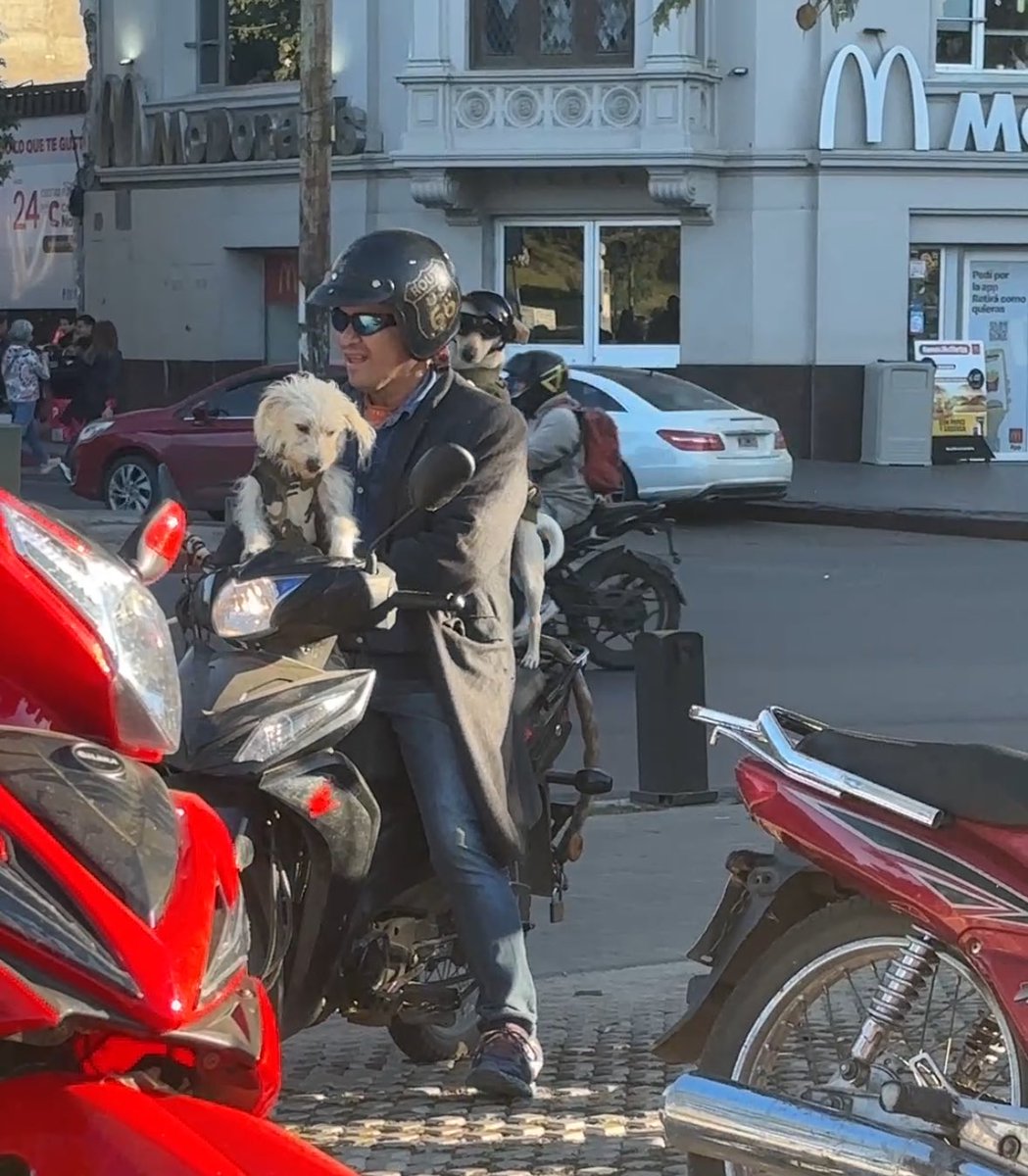 pppauli_____'s tweet photo. Hoy fui bendecida con esta bella escena en Córdoba. Mis goals para cuando sea una señora con moto ✨✨✨✨✨ https://t.co/uP0eVKFBJU
