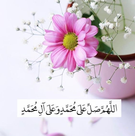 ‏🖤#مـــــManoـــــانو🖤 tweet media